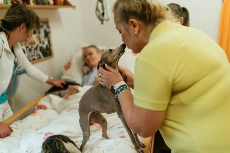 Formation en médiation animale : comment bien la choisir