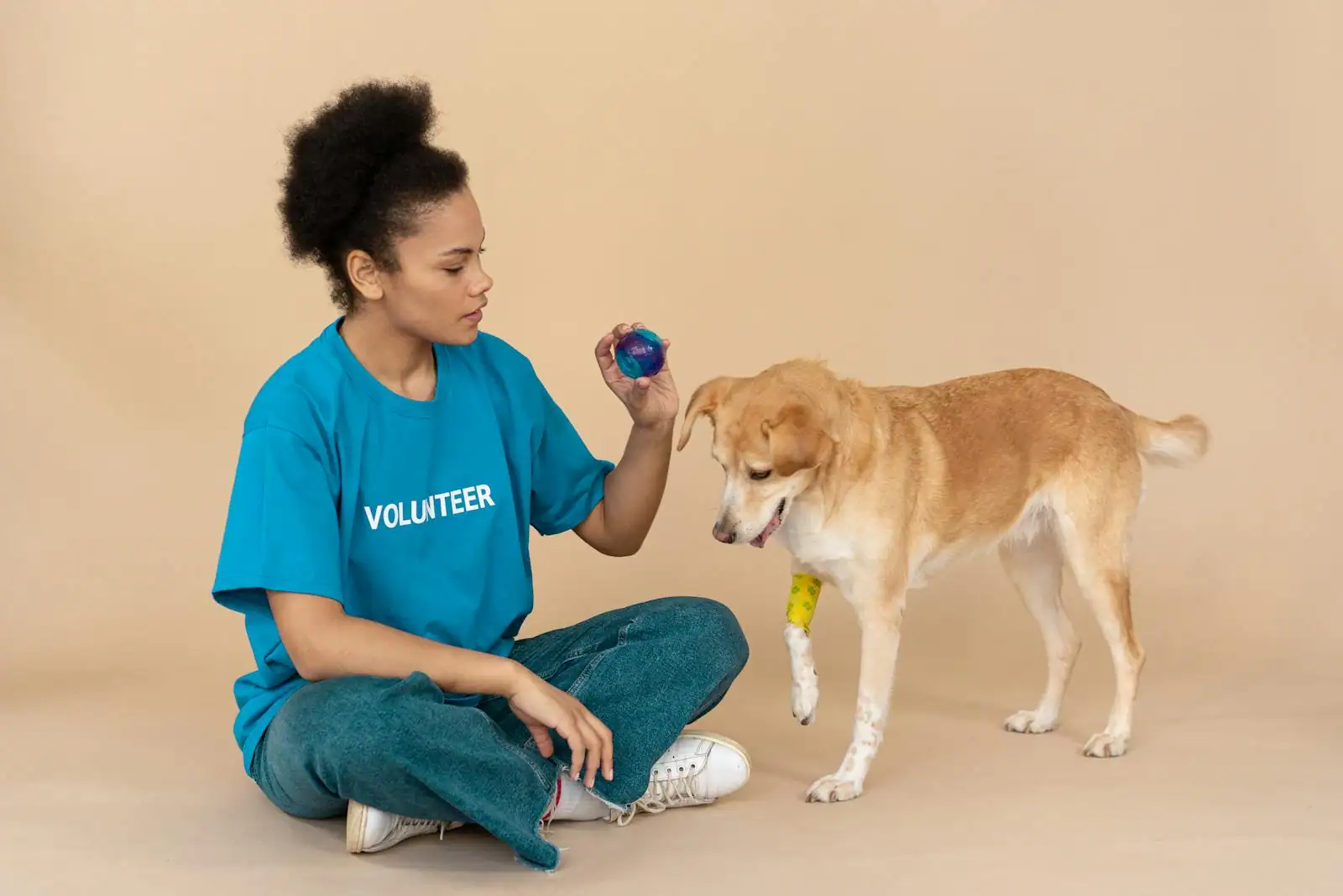 Une bénévole s'occupe d'un chien au pelage clair dans un refuge, scène de protection animale.