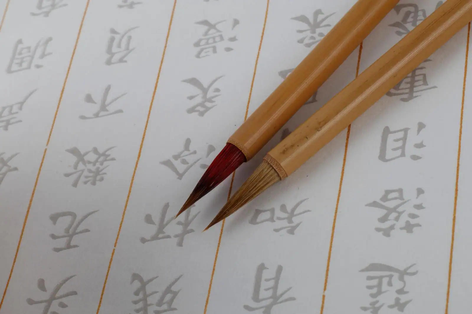 Pinceaux de calligraphie posés sur une feuille d'entraînement, évoquant les ateliers d'arts traditionnels de l'association