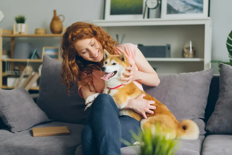 Chien de compagnie : le comprendre, le choisir et bien l&rsquo;accueillir