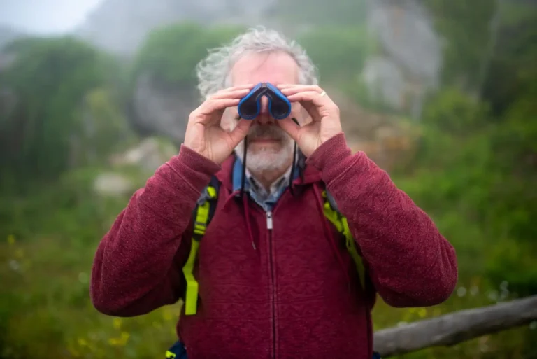 Études des animaux : les sciences qui les observent