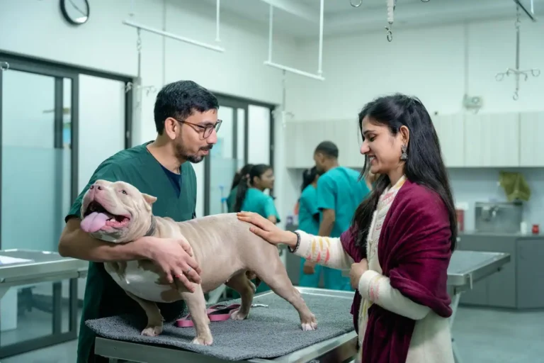 Formation animale : métiers, diplômes et débouchés