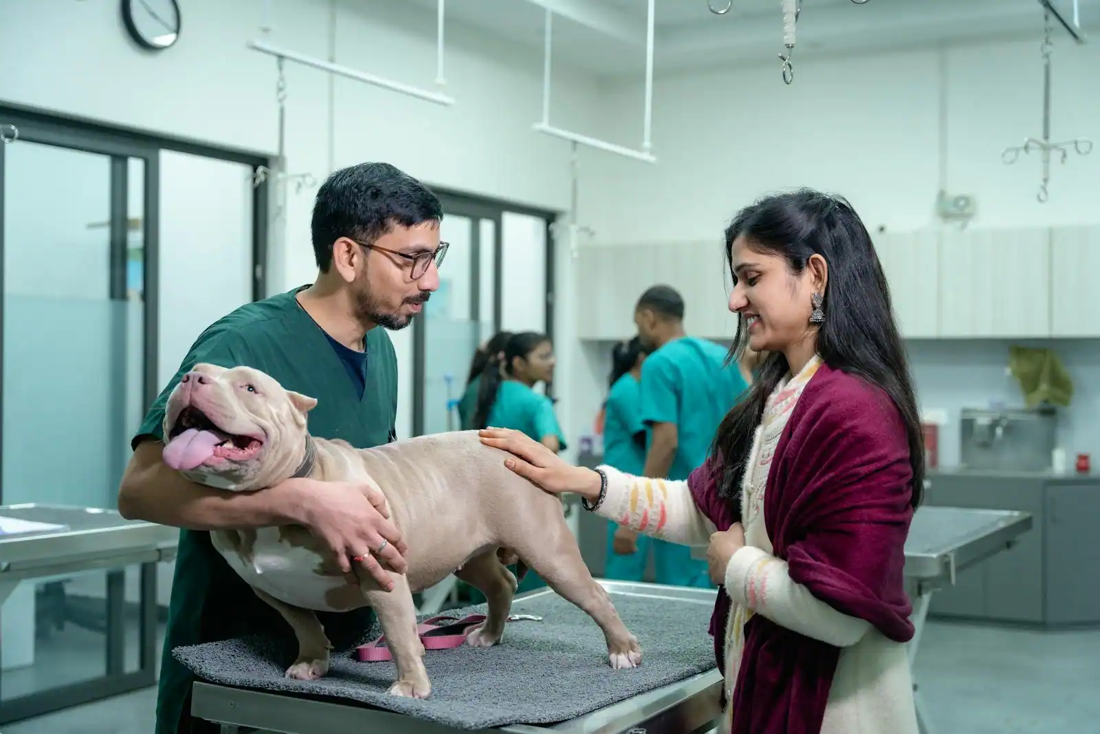 Professionnelle des métiers animaliers s'occupant d'un animal lors d'une formation pratique.