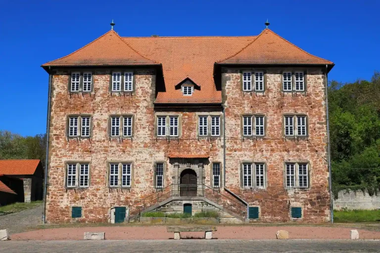 L&rsquo;histoire de la famille de Villiers