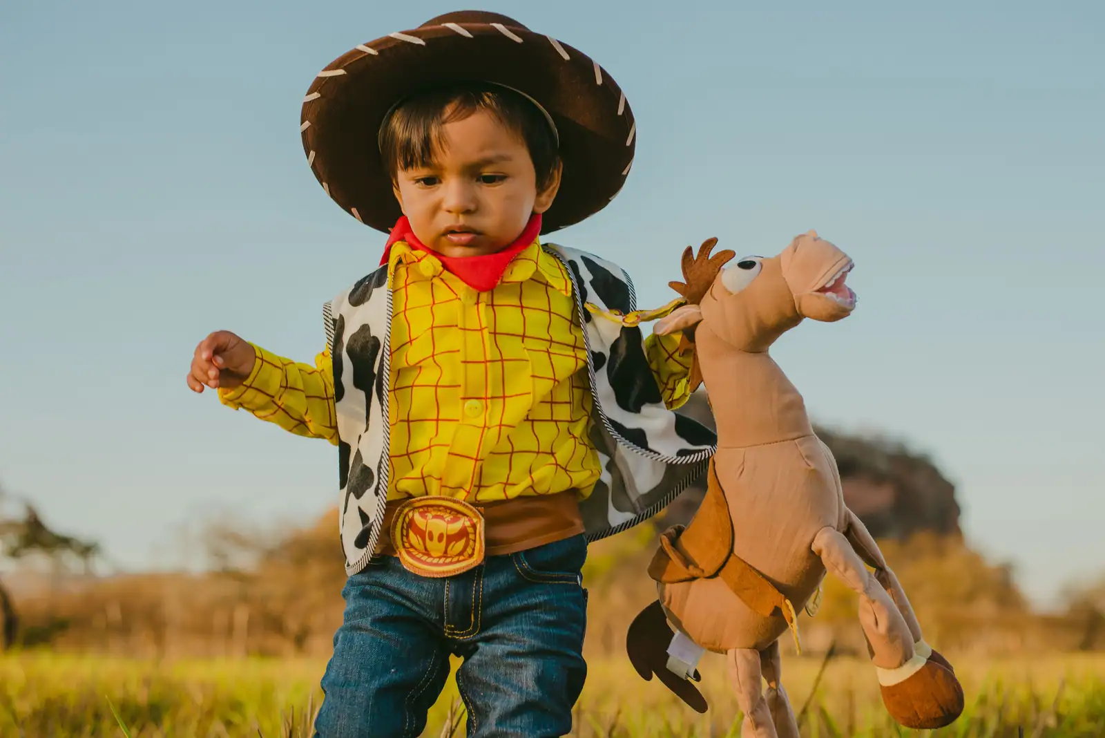 Un enfant déguisé en cowboy joue dans un pré avec un cheval en jouet