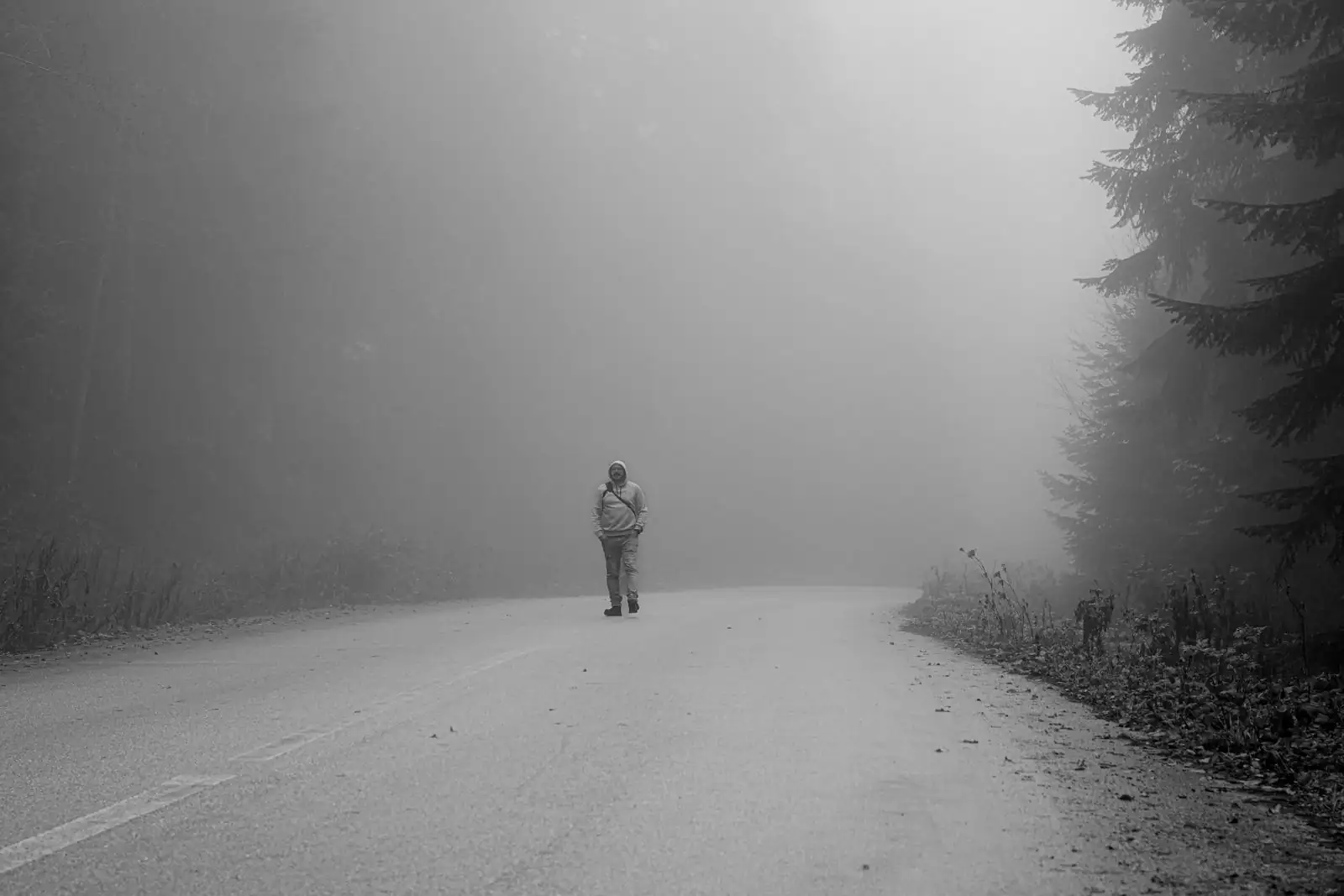 Silhouette seule marchant sur une route déserte noyée dans la brume, bordée de sapins.