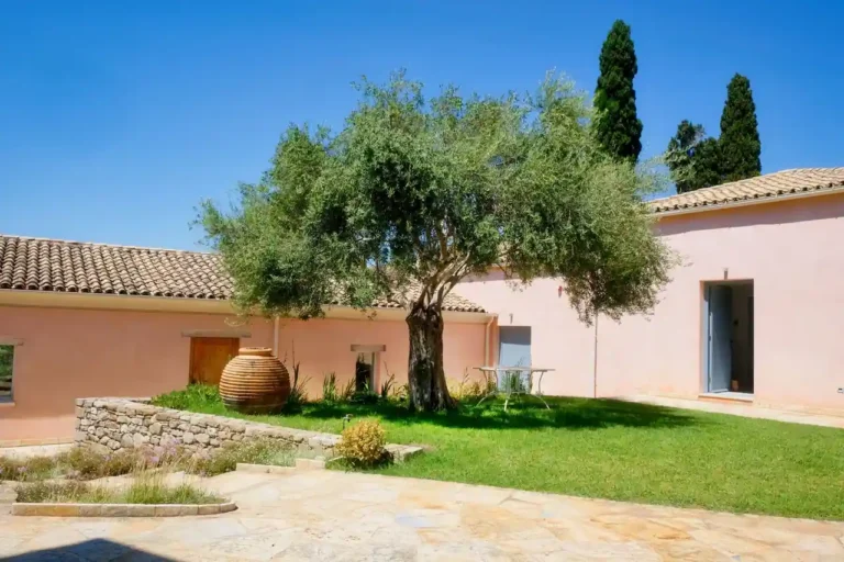 Passion jardin à Châteaurenard : jardiner en Provence