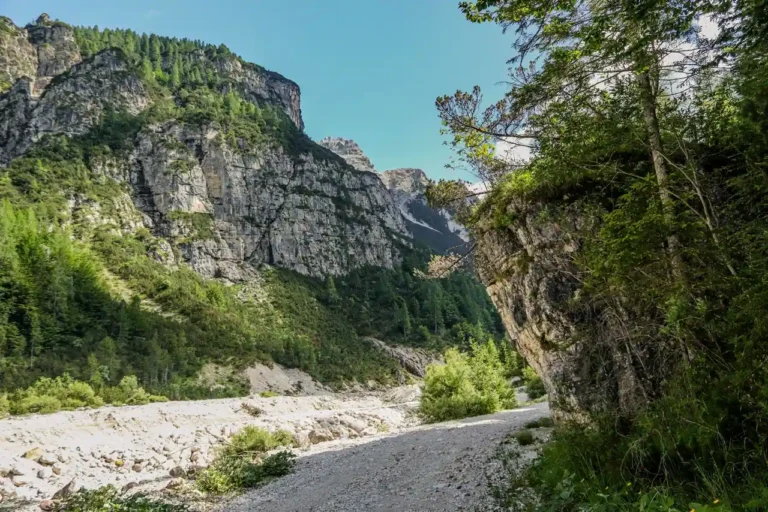 Balade en famille dans la forêt de Saoû