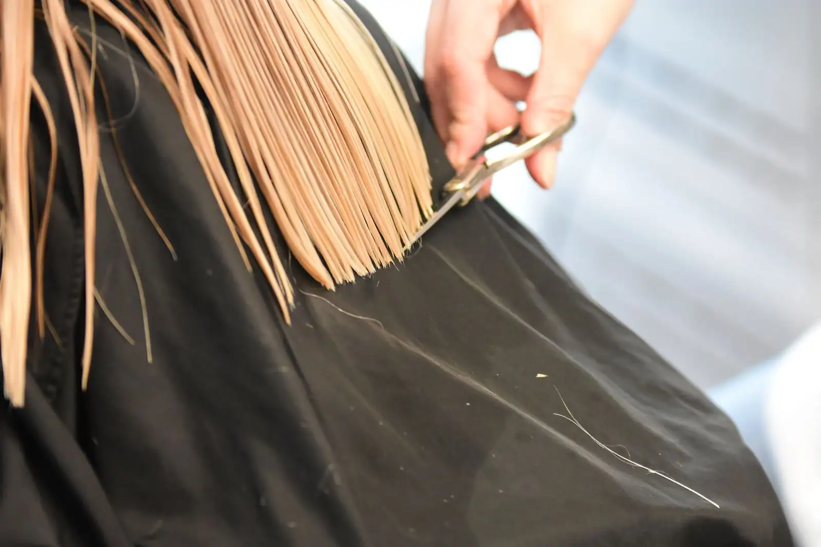 Coiffeuse coupant aux ciseaux les pointes d'une longue chevelure claire au-dessus d'une cape de salon