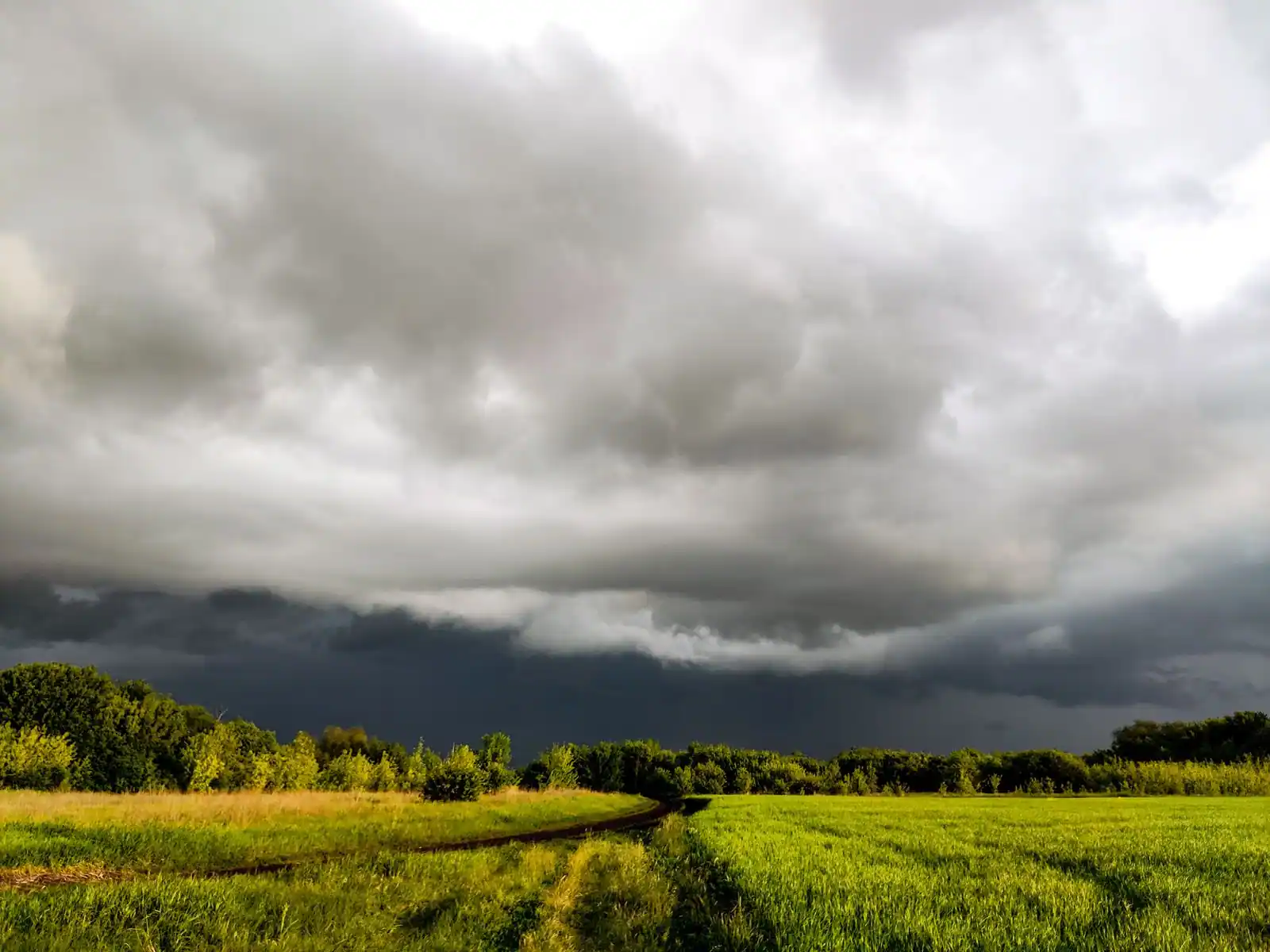 Un ciel nuageux et menaçant au-dessus de champs verts et d une ligne d arbres, évoquant un changement de temps