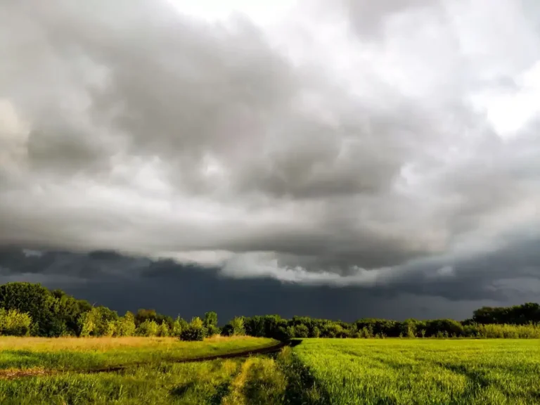 Prévisions saisonnières météo : comment les lire vraiment